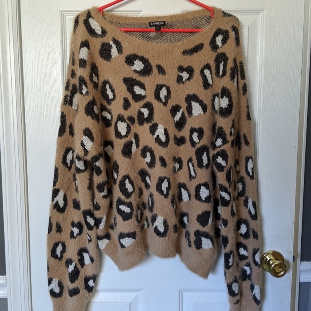 Express Cheetah Sweater